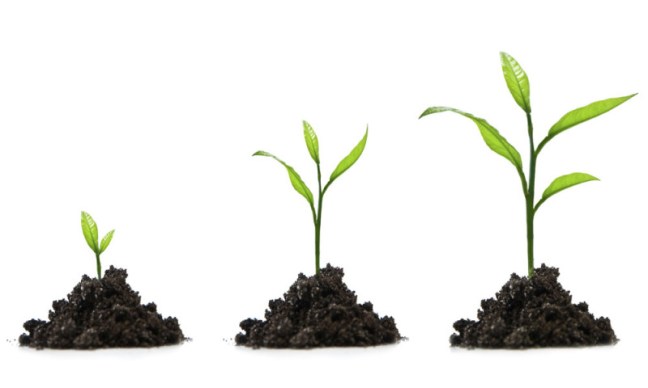 0328_growth-800x480